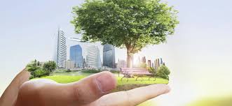 l'Étude d'Impact Environnemental en Tunisie